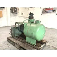 P63
